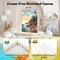 4 Pack Paint by Numbers for Adults with Framed Canvas (8x12 inch)
